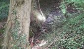 Tour Wandern Manage - Mariemont - Photo 1