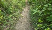 Tocht Stappen Maisse - Maisse - Forêt communale de Milly-la-Forêt - Photo 12