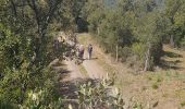 Trail Walking Pierrefeu-du-Var - PIERREFEU RAVANAS - Photo 5