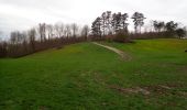 Tocht Stappen Itter - Ittre, Bois des Frères, Champ d'Hurbise - Photo 15