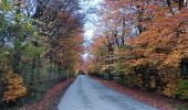 Randonnée Marche Aywaille - de Tlff à Sur le Tige -  autour du bois de Warnoumont - Photo 10