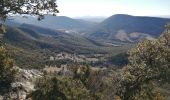 Tocht Stappen Roche-Saint-Secret-Béconne - le rocher des Aures  - Photo 12