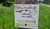 Trail Walking Bad Peterstal-Griesbach - Buhlbachsee & Lotharpfad - Photo 2