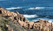 Percorso Marcia Ramatuelle - cap Camarat-golfe St Tropez-03-12-21 - Photo 10