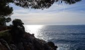 Tocht Stappen Saint-Jean-Cap-Ferrat - Pointe St Hospice, tour du cap Ferrat, Isthme de St Jean - Photo 1