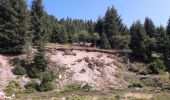 Tocht Stappen Stosswihr - Tour du belvedere avec le passage sur les crêtes  - Photo 11