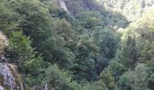 Tour Zu Fuß Casteil - Gorges du Cady et cascade Dietrich  - Photo 3