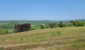 Randonnée Marche Plombières - hombourg - Photo 12