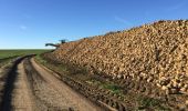 Tour Wandern Pont-à-Celles - En passant de la Meuse à l'Escaut - Photo 10