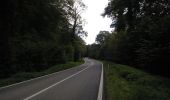 Tour Mountainbike Wirten - Torgny par le Bois de la Côte - Balade_VTT_31Kms - Photo 12