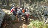 Trail Walking Noisy-sur-École - noisy sur École  - Photo 11