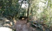 Trail Walking Rontignon - UZOS boucle de la glandee M1 le 16/09/2020 la bonne - Photo 2