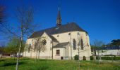 Tour Wandern Coteaux-sur-Loire - Saint-Michel-sur-Loire - GRP Coteaux de Bourgueil Saint-Patrice - 21.7km 240m 4h45 (35mn) - 2023 04 19 - Photo 6