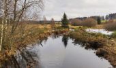 Tocht Stappen Waimes - Wandeling Peak Beer blonde  (new) - Photo 1