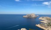 Tocht Stappen Marseille - Calanques de Marseille  - Photo 9