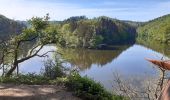 Tour Wandern Hohenfels - Nisramont - Photo 3