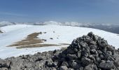 Randonnée Raquettes à neige Ilonse - Lauvet d’Ilonse - Photo 4