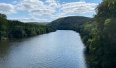 Tour Wandern Faycelles - La vallée du Célé - Photo 9