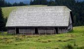 Tocht Te voet Deutschlandsberg - Wanderweg 35 - Photo 7