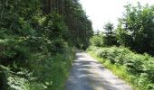 Percorso A piedi Sconosciuto - Rostrevor Forest - Slievebane Trail - Photo 10