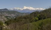 Trail Walking Bayons - BAYONS  . col des Sagnes , Peyrouret , Picouse , bergerie de Gautiere , Piaure , Giaire n - Photo 1