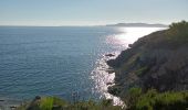 Excursión Senderismo Hyères - La Badine Giens Est  - Photo 1