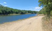 Randonnée Marche Thorrenc - Le lac de vert - Photo 4