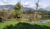 Excursión Bici eléctrica Lumbin - Montmélian Pont Mourens - Photo 6