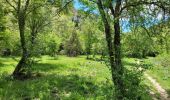 Trail On foot Gordes - les gorges de la Véroncle - Photo 20