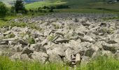 Tocht Stappen Le Béage - Le tour des cinq sucs au départ du Béage - Photo 1