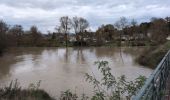 Tour Wandern Esvres - Esvres-sur-Indre - Veneuil Rouillers Hardellière - 24.5km 245m 5h20 (50mn) - 2024 11 23 - Photo 14