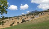 Excursión Senderismo Chorges - au dessus de Chorges : Naume Raze . les Drayes . parking des Gardes . Forest Barthiers . Naume Raze - Photo 20