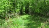 Tocht Mountainbike Chevillon - Circuit entre plateaux et vallées - Chevillon - Photo 1