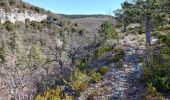 Tour Wandern Flassan - Le trèfle des Grangeons - Photo 9