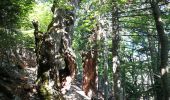 Tocht Stappen Brantes - Brantes-Ventoux-Frache-Brantes-Bis - Photo 4