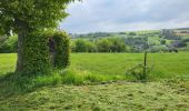 Tour Wandern Walcourt - Walcourt 230523 - Photo 13
