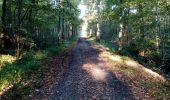 Tocht Noords wandelen Belœil - octobre 2021 - Photo 6