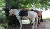 Trail Horseback riding Turquestein-Blancrupt - petit donon  - Photo 2