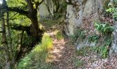 Trail Walking Chauchailles - Gorges du Bèz sentier des espagnols - Photo 4