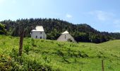 Tour Wandern Saint-Pierre-de-Chartreuse - Col de la Ruchère-2022-06-01 - Photo 4