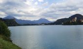 Trail Walking Bled - bled - tour du lac - Photo 2