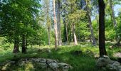 Trail Walking Albese con Cassano - Monte bolettone - Photo 14