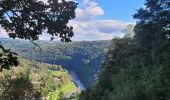 Trail Walking Bouillon - rando rochehaut 5-10-2024 - Photo 9