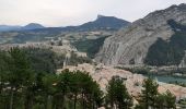 Randonnée Marche Sisteron - SISTERON.   Le Mollard . Col S Pierre o n  - Photo 4