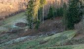 Excursión Senderismo Le Ménil - Boucle au départ des chalets de la 