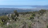 Excursión Senderismo Saint-Raphaël - Esterel : Le Mont Vinaigre par Gaspard de Besse - Photo 3