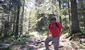 Trail Walking La Bresse - Lac des Corbeaux - Photo 2