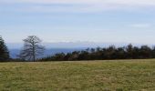 Trail Walking Meymac - Montagne du Cloup, les Farges - Photo 2