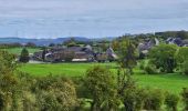 Tour Wandern Doische - Balade de Doische à Foisches - Photo 15