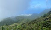Trail Walking Saint-Claude - St Claude  - Photo 2